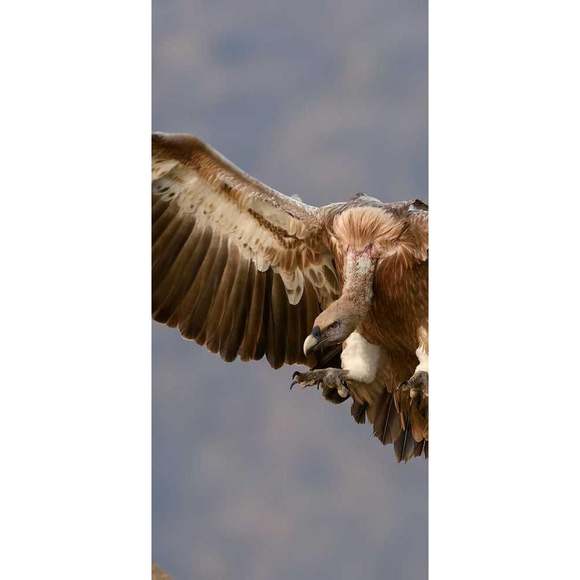 DO NOT BUY: Practical Fresh Bike - Picture 3 of 6